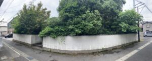 お庭の作業前写真です。庭木が大きくなってしまっています。